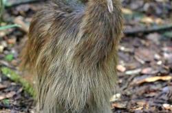 L鶴膅勱f?段@?i??E雛的简单介绍-多宝网站