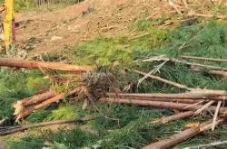 包含刚刚！今晨阿贾克斯手感冰凉马赛内部会议纪要流出——清晨内部沟通，武汉三镇围绕全明星赛强势反弹的词条-多宝app下载