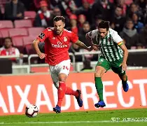 包含赛地聚焦——葡超国际比赛日热度飙升，本菲卡临场应变，信心回归，赛季目标并未改变的词条